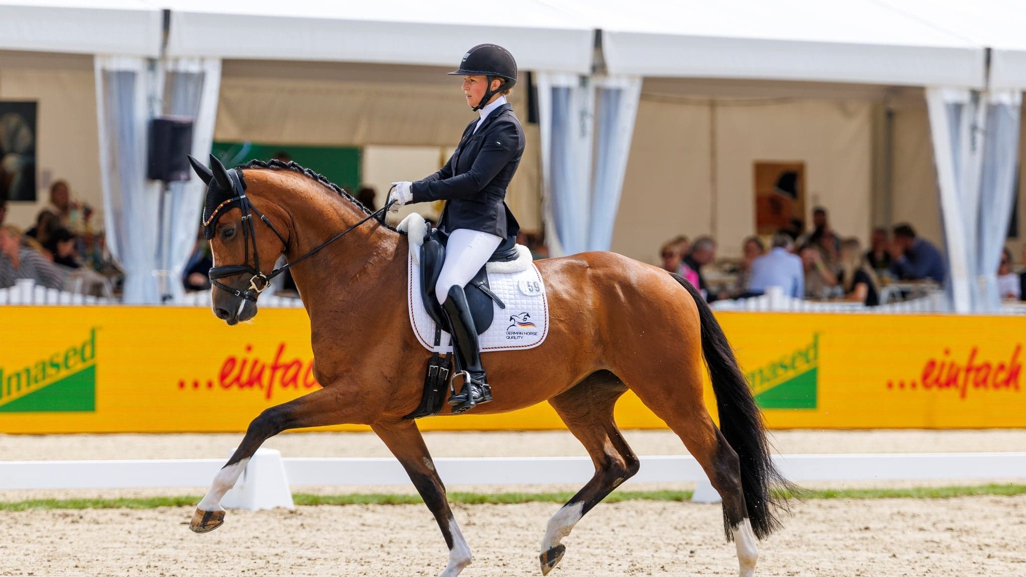 Dressage World Breeding Championship for Young Horses 2026, SAT 08.08.