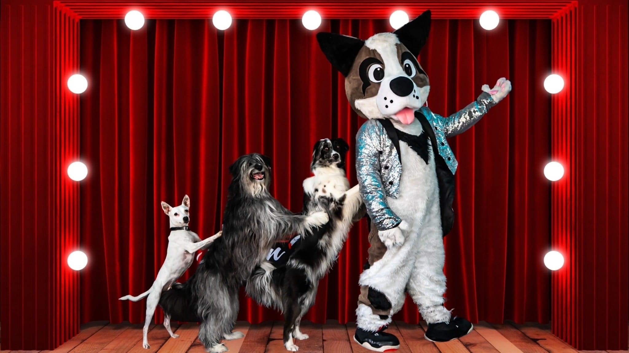Canine Circus Presents: Dogs Do Magic